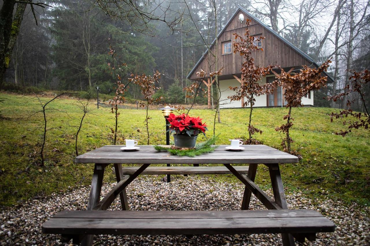 Hotel Amenity & Orlicke Hory Destne v Orlickych horach
