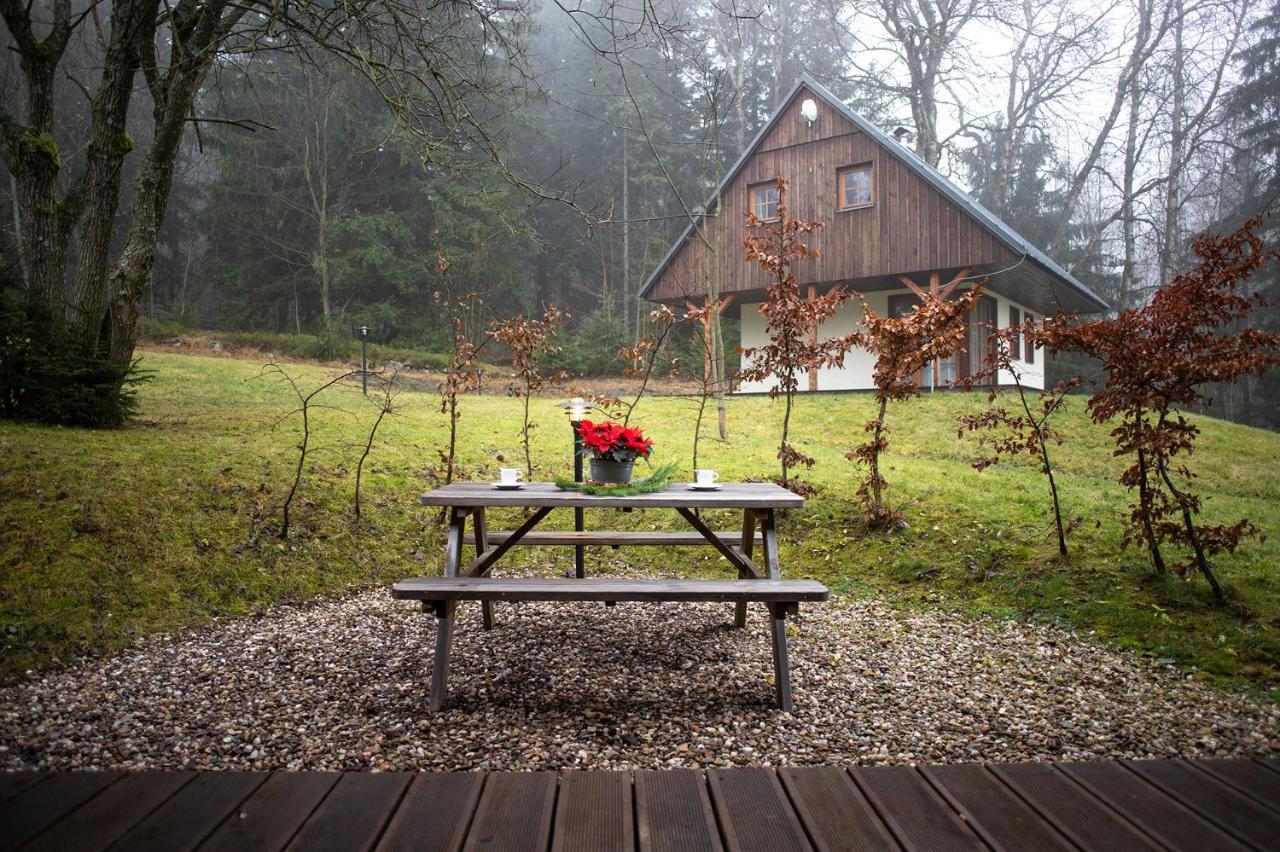 Amenity Hotel&resort Orlické Hory 4* Destne v Orlickych horach